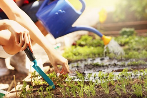 Person reviewing a landscaping complaint document outdoors