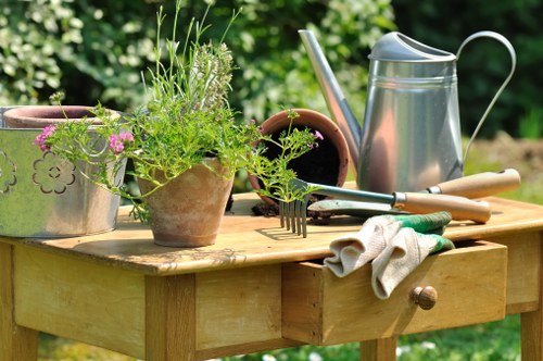 Local landscaping team planning a garden transformation in Palmersgreen
