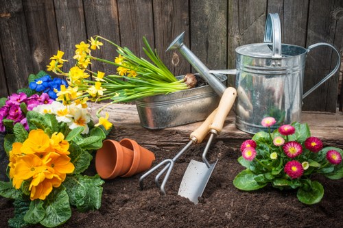 Low-maintenance garden transformation suitable for a Palmers Green home