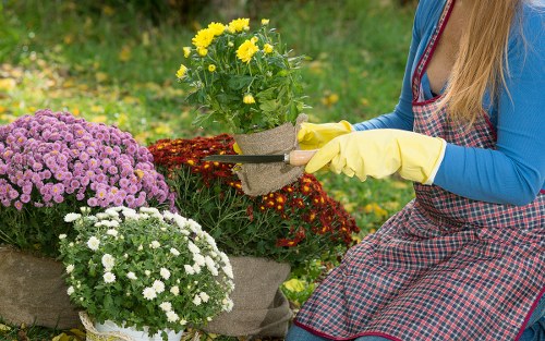 Cookies policy introduction for Landscaping Palmersgreen
