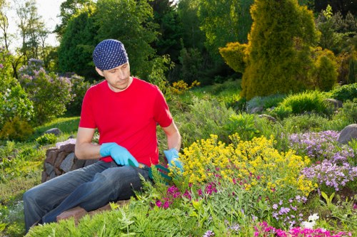 Local hard landscaping features including paving, edging, and steps