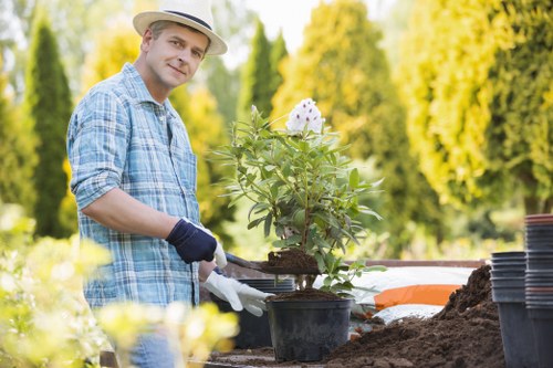 Outdoor uplighting highlighting trees and planting